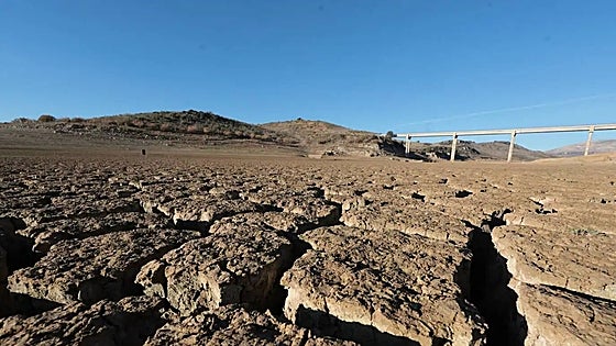 The drought crisis takes its financial toll in Andalucía: 4.2 billion euros in 2023 and even more this year