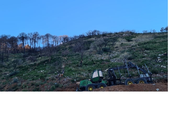 Heavy machinery used for transporting trees, between the municipalities of Mijas and Alhaurín de la Torre, which was affected by the fires.