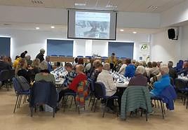 Olive oil tasting (in English) at last year’s Molienda.