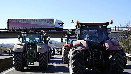 Police make almost 30 arrests during farmers' protests across Andalucía