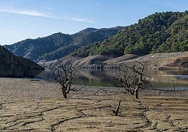 Recent dire situation at La Concepción reservoir.