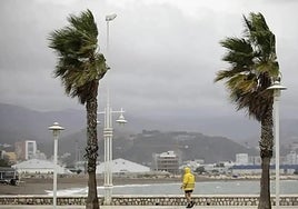 Yellow weather warnings in place for this Thursday