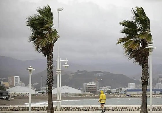 Yellow weather warnings in place for this Thursday