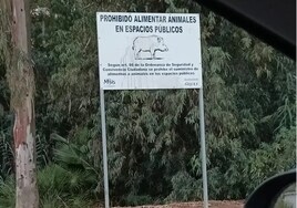 A sign warns people not to feed wild boar in a housing estate in Mijas