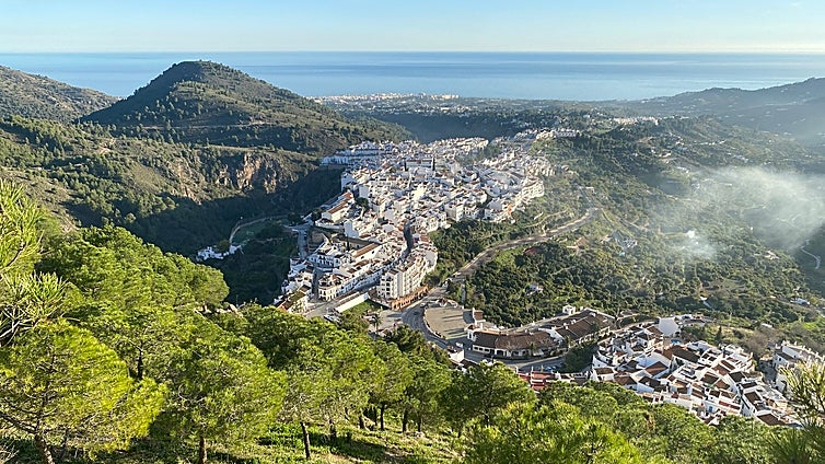 Retired French man crushed to death while helping remove fallen tree from British neighbour's property in Frigiliana