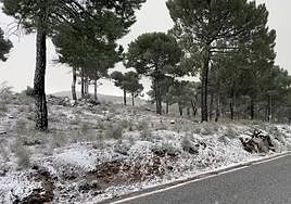 A location in Granada province recorded the lowest temperature in Spain on Sunday, 3 March
