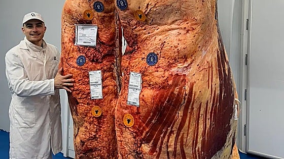 Record-breaking 12,000-euro beef carcass destined for eastern strip of the Costa del Sol
