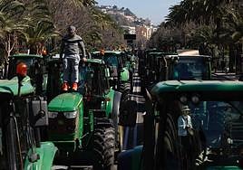 Photograph of the last tractor rally in Malaga city centre.
