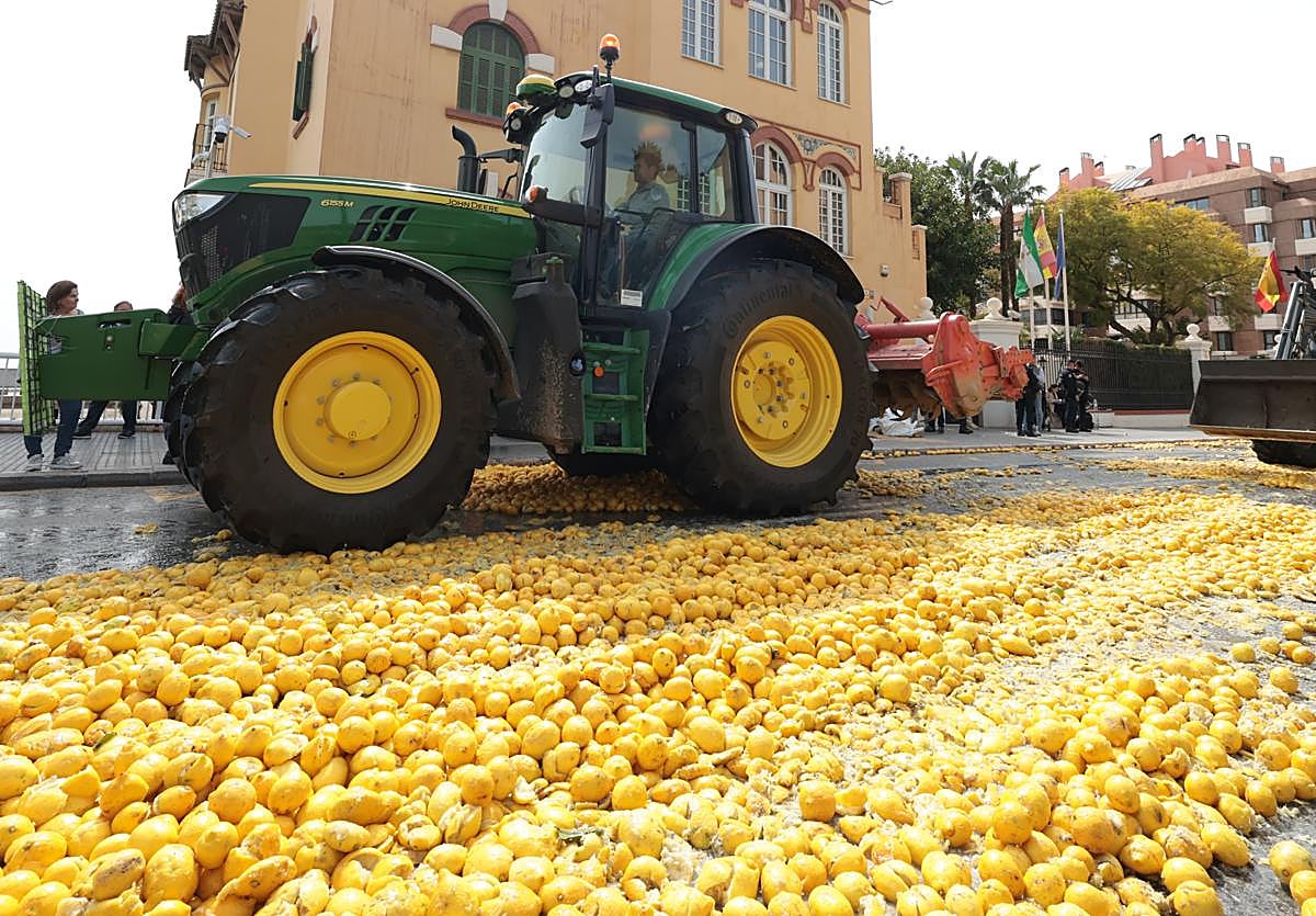 Imagen principal - Tensions rise as farmers dump truck loads of lemons on road during latest tractor rally and demonstration in Malaga