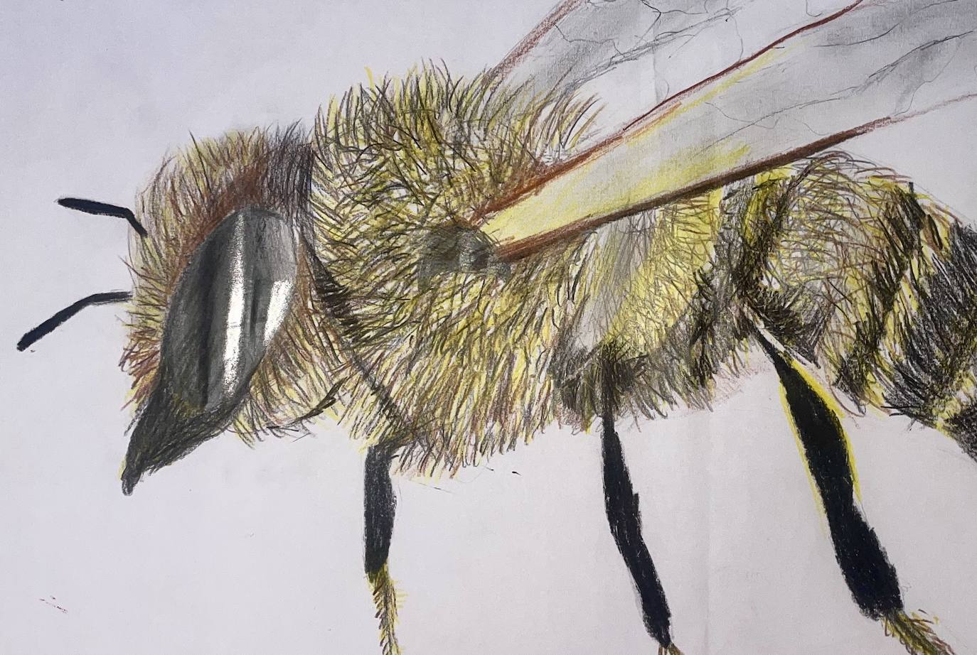 Leo, aged 10. British International School of Marbella