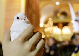 The release of doves at the passing of the Virgen de la Paloma is one of the hallmarks of Holy Week in Malaga.