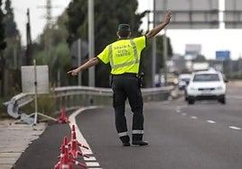 Two police officers jailed for ordering three men to strip naked at traffic checkpoint in Spain