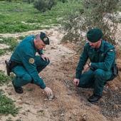 Two Pacprona agents point to an area where they discovered an illegal well, now sealed.