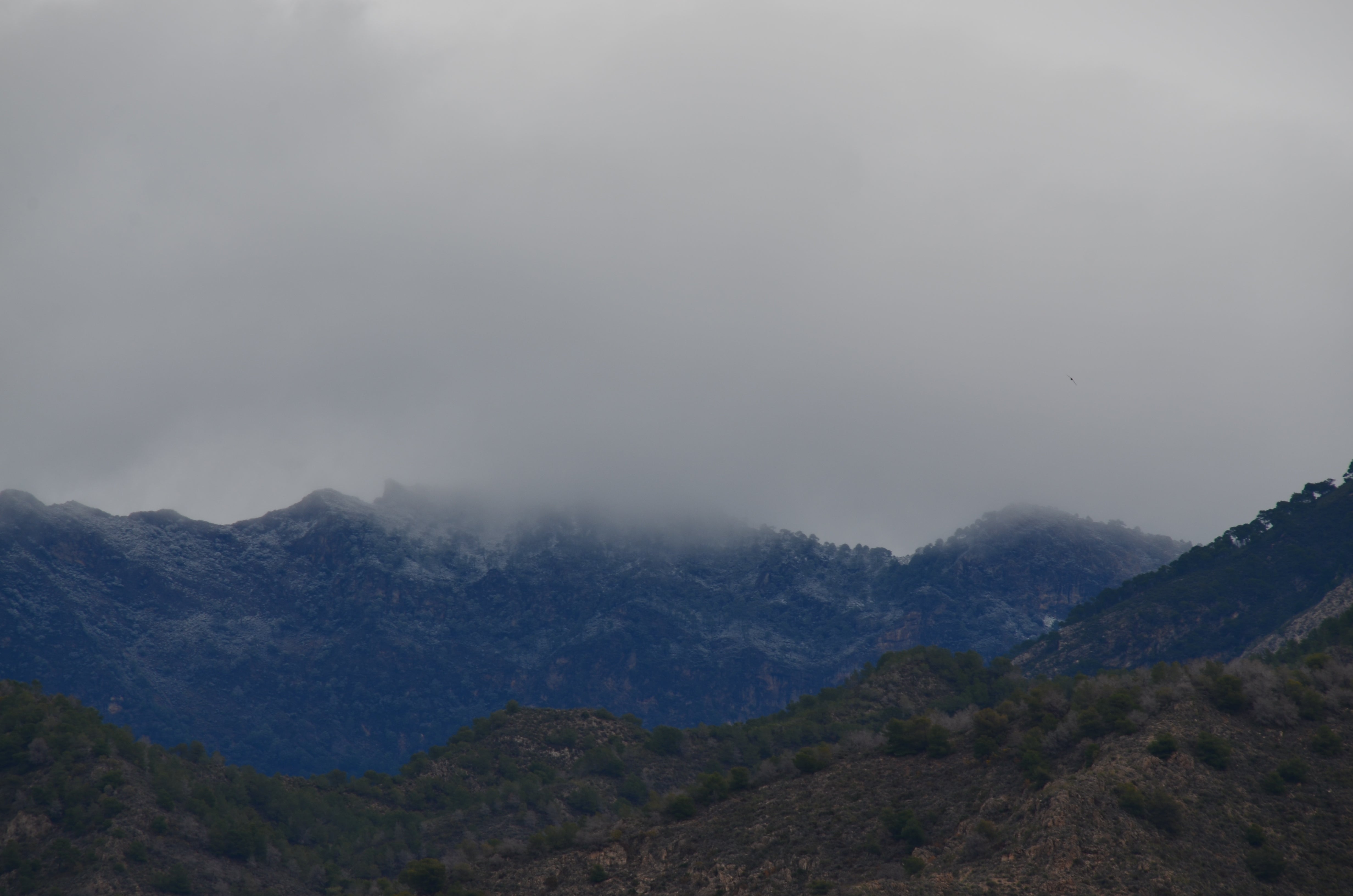 Imagen secundaria 2 - Above, snow on Pico Martín Gil, the highest in the Sierra de Líbar, at almost 1,400 meters of altitude, seen fom Jimera de Líbar; Below, on the left, the white mantle in La Navachica, seen from Nerja, and in Piedra Sillada. 