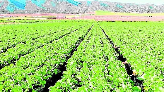 Junta's first rural development strategy to tackle major challenge of depopulation in parts of the region