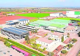 Dcoop, one of the most influential co-operatives in Andalucía, based in Antequera, Malaga province.