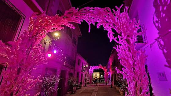 Painting the Axarquía area of Malaga province pink and gold this weekend