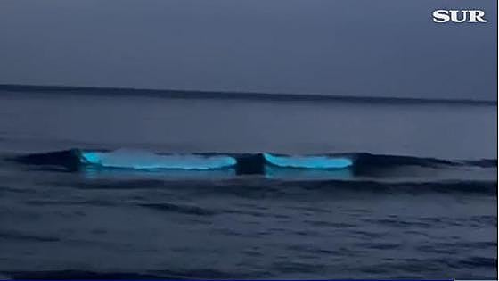 Video: Why have 'glowing' blue waves been seen off some beaches of the Costa del Sol?