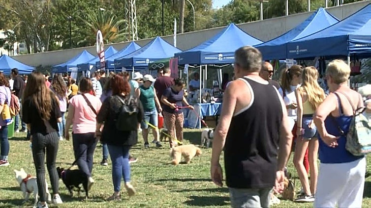 'Pet-friendly' Fuengirola to host dog day event
