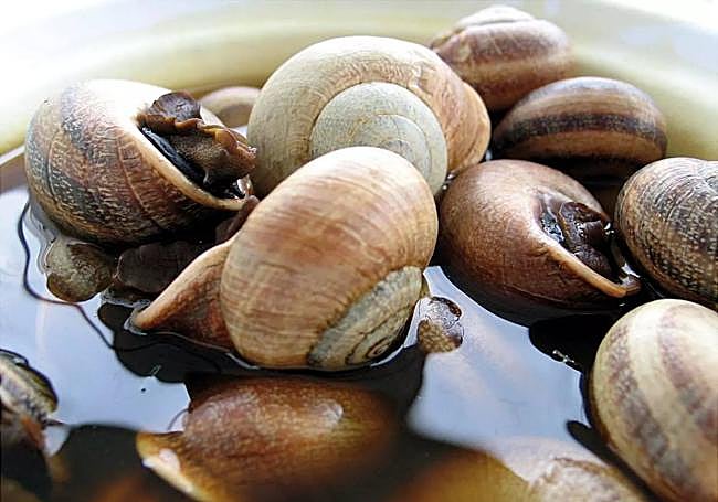 Snails in broth.
