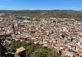 Vélez-Málaga town hall has started work to eradicate mosquitoes and cockroaches ahead of the summer season.