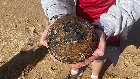 School pupils make an unusual discovery during field trip on a Costa de la Luz beach in Spain