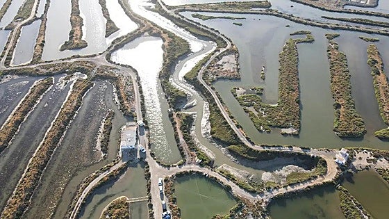 Paradise has a name and it can be found in the Bay of Cadiz in the south of Spain
