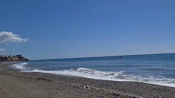 This is the moment dolphins were spotted unusually close to the shore on the Costa del Sol