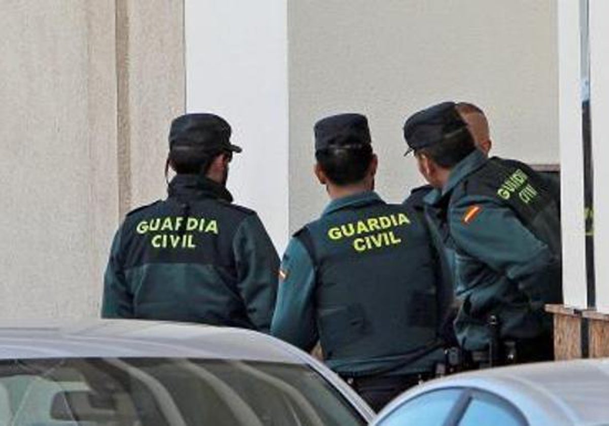 Twelve people arrested during drug trafficking raids in Guadalhorce valley