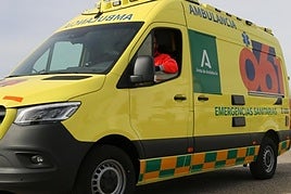 Emergency ambulance (file image).