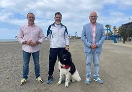 One of the Newfoundlands that will providing a lifeguard service on Torre del Mar's beach this summer.