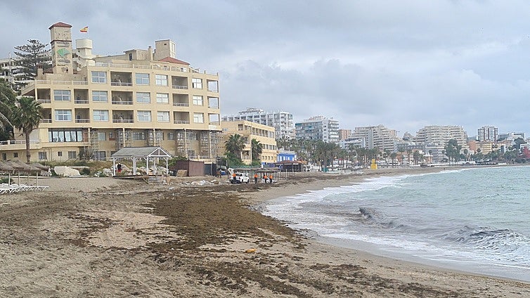 Invasive Asian algae becomes a 'continuous' problem on Benalmádena's beaches, and this is what the town hall is doing about it