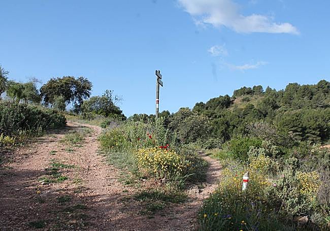 Crossroads of the Puerto del Lobo.