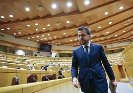 Pere Aragonès, file image.