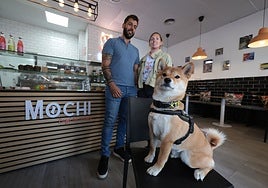 Mochi poses inside the Teatinos shop in front of its owners.