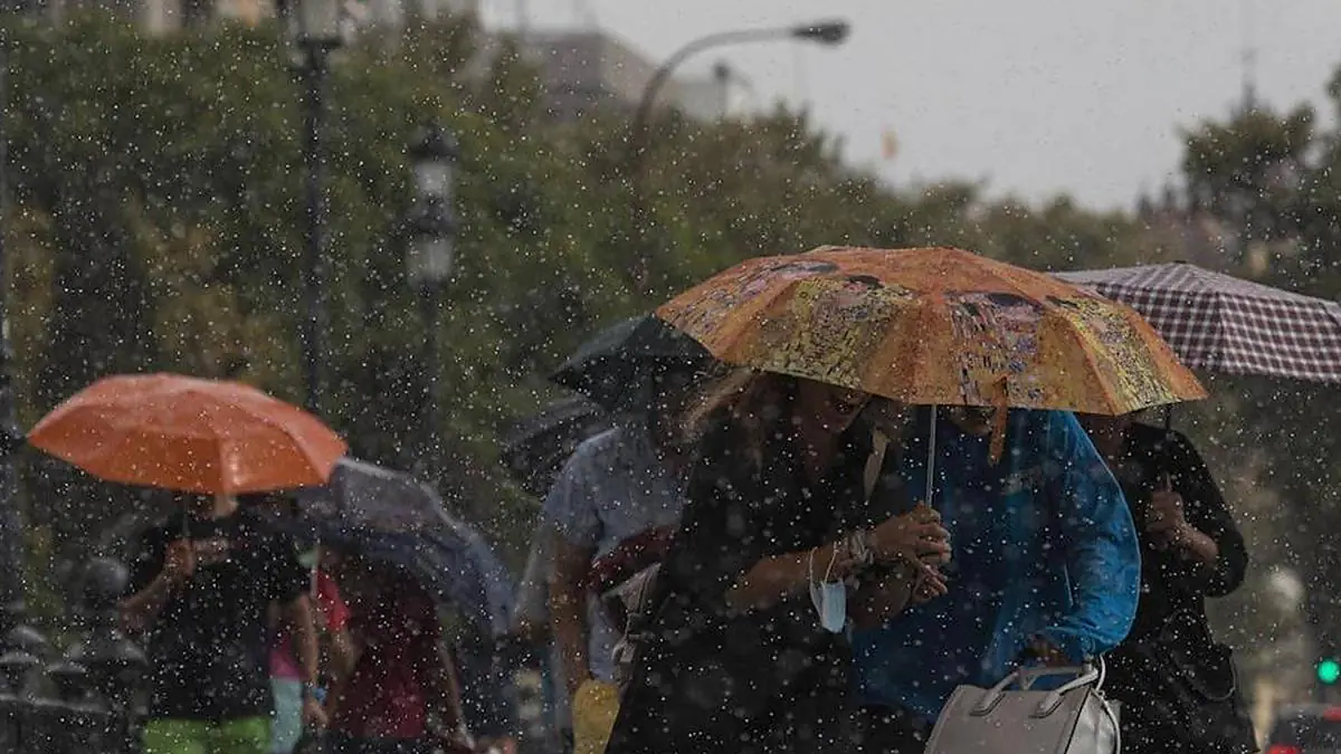 Weather warnings activated for heavy rain, with possibility of