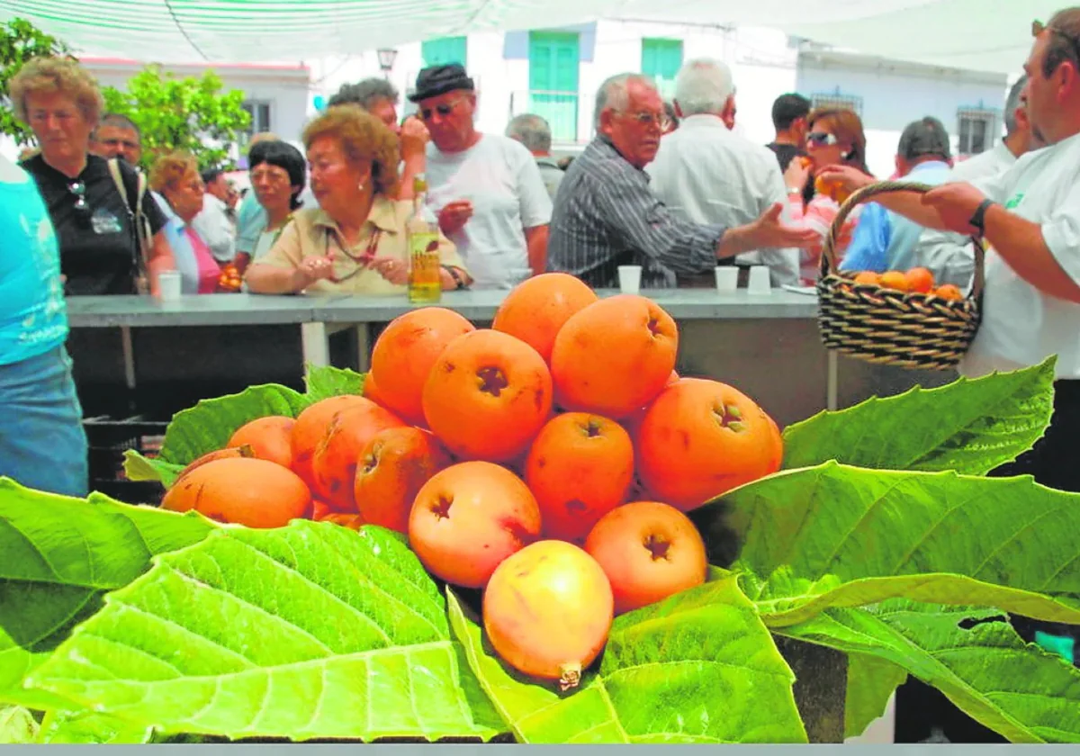 This Is The Village In Malaga Province Where, This Weekend, You Can Try 