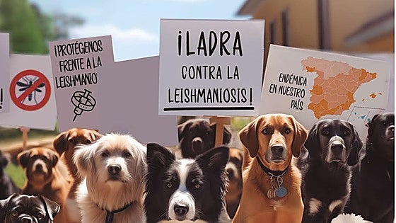 Cártama joins canine leishmaniasis prevention campaign