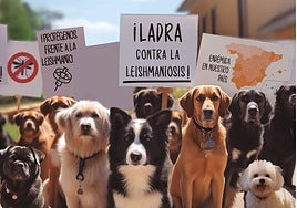 The campaign aims to inform dog owners about the importance of preventing the disease.