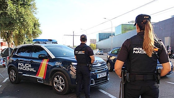 Eleven Serbian gang members arrested after violent 'settling of scores' attack on rival clan in Estepona