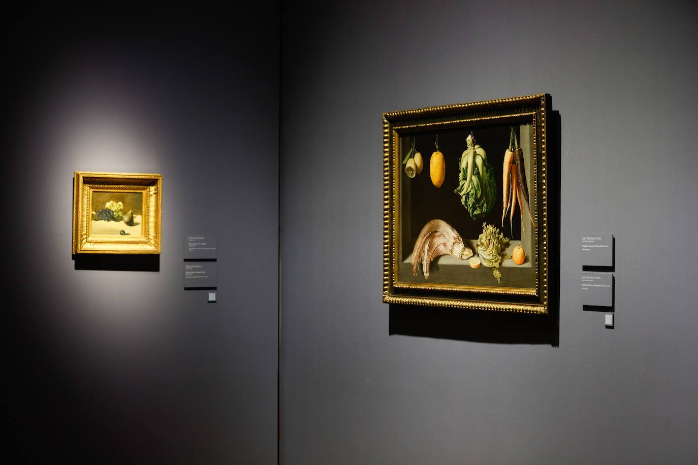 The Abelló Collection in pictures