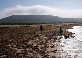 Los Caños Beach, Barbate