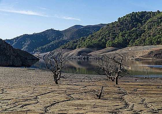 La Concepción reservoir near Marbella started the year at a very low level (file image).