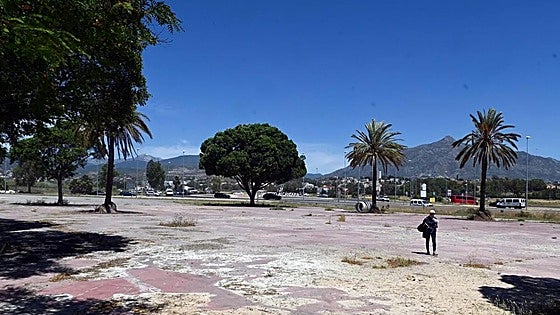 New one-million-euro bus station for San Pedro to go out to tender before end of year