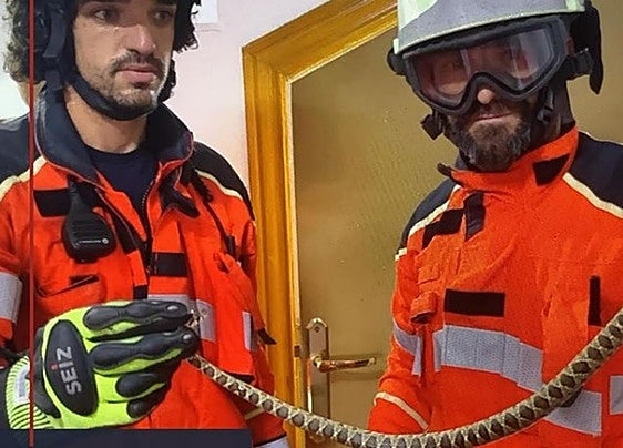 Family has a fright after finding snake in bathroom in Spain