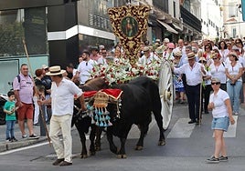 The cart pulled by oxen.