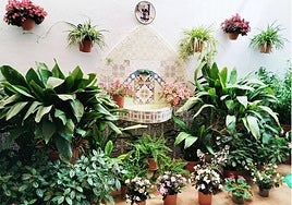 A patio in Alhaurín el Grande.