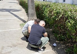 Police officers analyse a knife found at the scene of the incident.