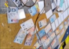 Sample of the countless fake ID cards seized in Bucharest from the cyber criminal.