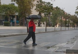 The rains may return to Malaga province this Saturday, although only for a few hours (file photo).